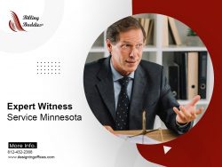 Expert Witness Service Minnesota