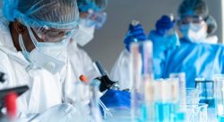 Biocompatibility testing**