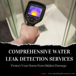Comprehensive Water Leak Detection Services
