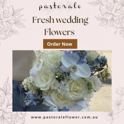 Blooming Dreams: Fresh Wedding Flowers in Sydney