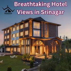 Breathtaking Hotel Views in Srinagar