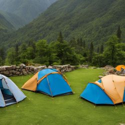 Camp stay In Dharamshala