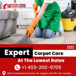 Carpet Cleaning Services in NE Calgary: Restore Your Carpets Today
