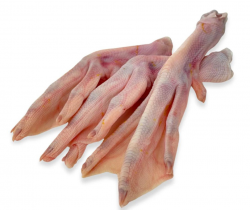 Duck Feet For Dogs | RogueRaw