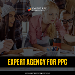 Expert Agency for PPC