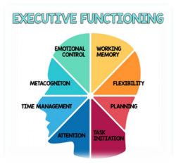 Exploring Executive Functioning in Therapy