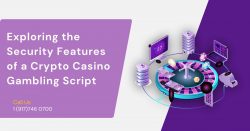 Exploring the Security Features of a Crypto Casino Gambling Script