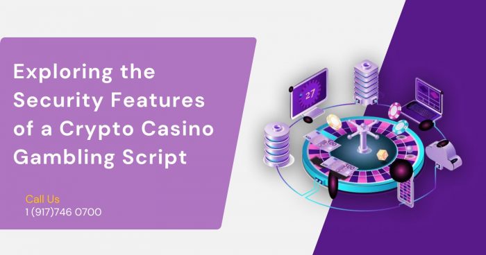 Exploring the Security Features of a Crypto Casino Gambling Script
