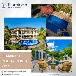 Find Dream Home in Costa Rica With Flamingo Beach Realty