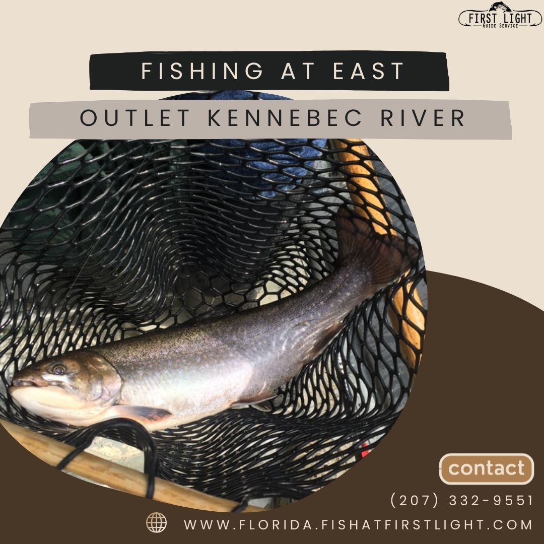 Fishing at East Outlet Kennebec River - Social Social Social | Social ...