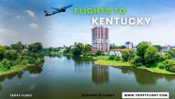 Flights To Kentucky | Trippy Flight