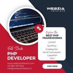 Full Stack PHP Developer – Webzia Infotech