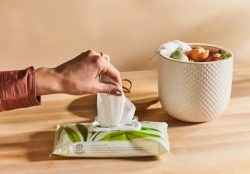 Compostable tableware