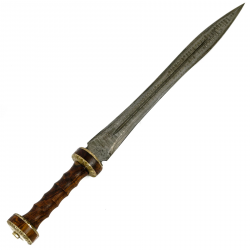 Exquisite Gladiator Swords at Battling Blades