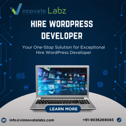 Hire WordPress Developer