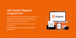 Hire Magento Programmer