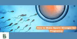 How to Make Sperm Stronger for Pregnancy:Tips and Strategies