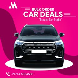 Get Bulk Order Deals With Our Car Trader