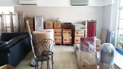 Movers in Singapore