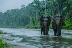 Explore Kerala’s Best: Family Tour Packages Now Available