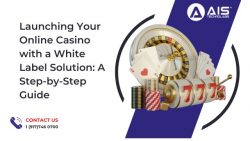 Launching Your Online Casino with a White Label Solution: A Step-by-Step Guide