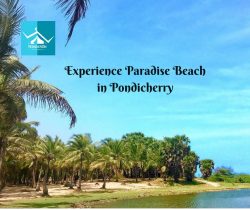 Discover Paradise Beach in Pondicherry