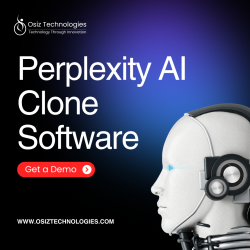 Perplexity AI Clone Software