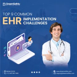 Top Common EHR Implementation Challenges