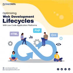 Web Development Lifecycles with Low Code Application Platforms