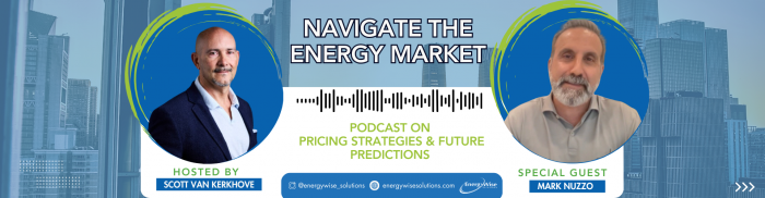 Navigate The Energy Market: Pricing Strategies & Future Predictions