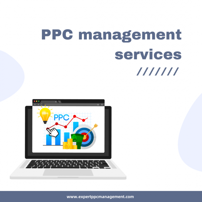 PPC management services
