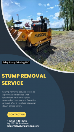 Professional Stump Removal Services: Clear Your Land with Ease