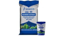 Seaweed Extract Price – Largest Organic Fertilizers Manufacturer in China | HUMICO