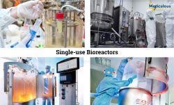 Single-use Bioreactors Market to be Worth $10.3 Billion by 2030