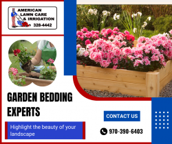 Specialized Garden Bed Design Services