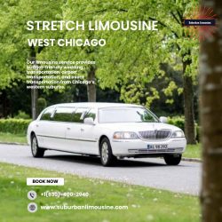 Stretch Limousine West Chicago