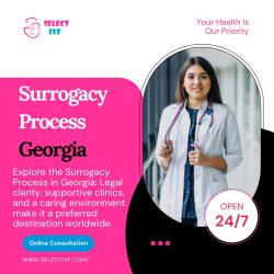 Surrogacy Process Georgia