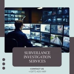 Surveillance Investigation Services