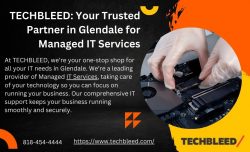 TECHBLEED: Your Trusted Partner in Glendale for Managed IT Services