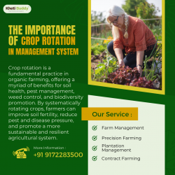 The importance of crop rotation in Management System