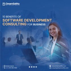 10 Benefits of Software Development Consulting for Business