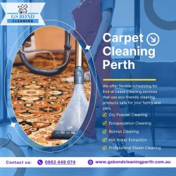 Top-Notch Carpet Cleaning in Perth