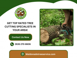 Transform Your Yard with Our Reliable Tree Cutting Services