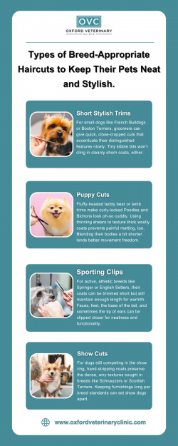 Types of Breed-Appropriate Haircuts to Keep Their Pets Neat and Stylish.