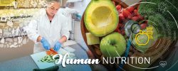 Human Nutrition Sector Projected to Grow to $189.2 Billion by 2030