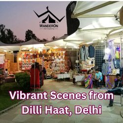 Vibrant Scenes from Dilli Haat, Delhi