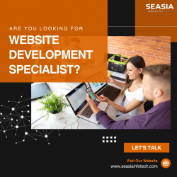 Exploring Trusted Sources for Web Development Solutions in 2024