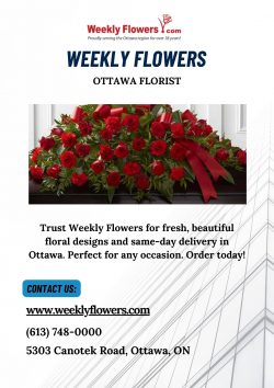 Weekly Flowers: Ottawa’s Top Florist for All Occasions