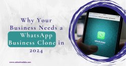 Why Your Business Needs a WhatsApp Business Clone in 2024