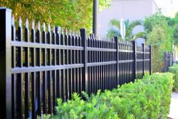 Wood Fence Frankfort